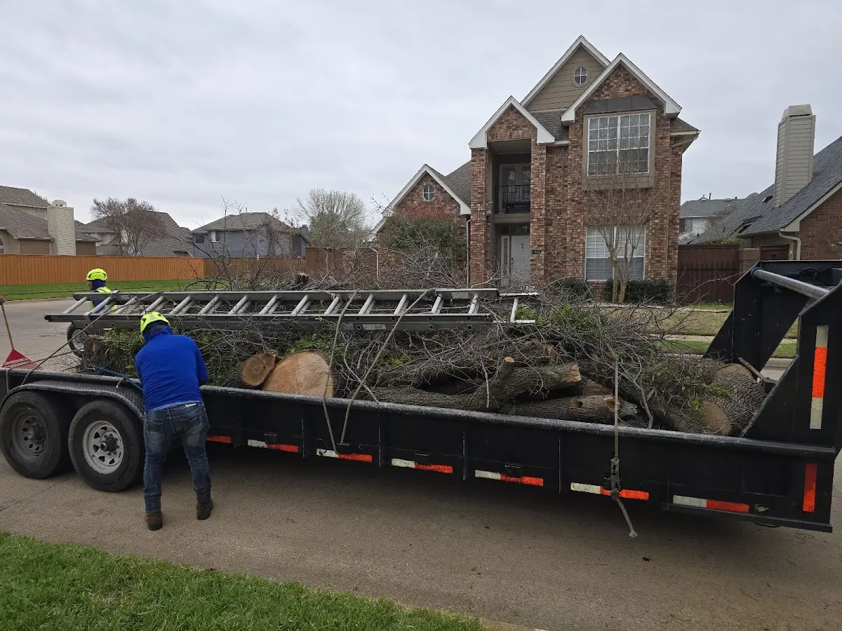 Expert Tree Removal with proper safety equipment in Savoy
